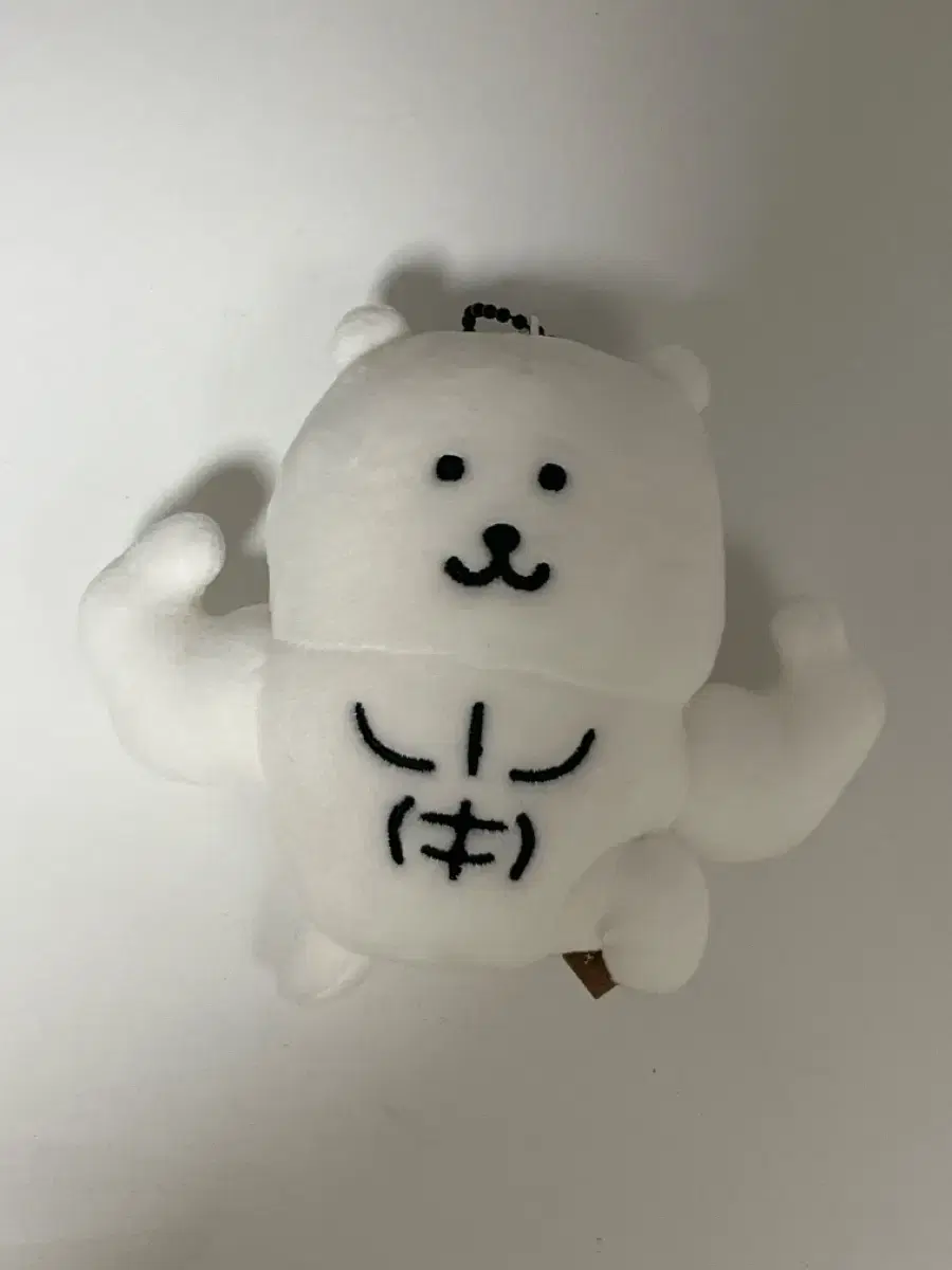 근육 농담곰