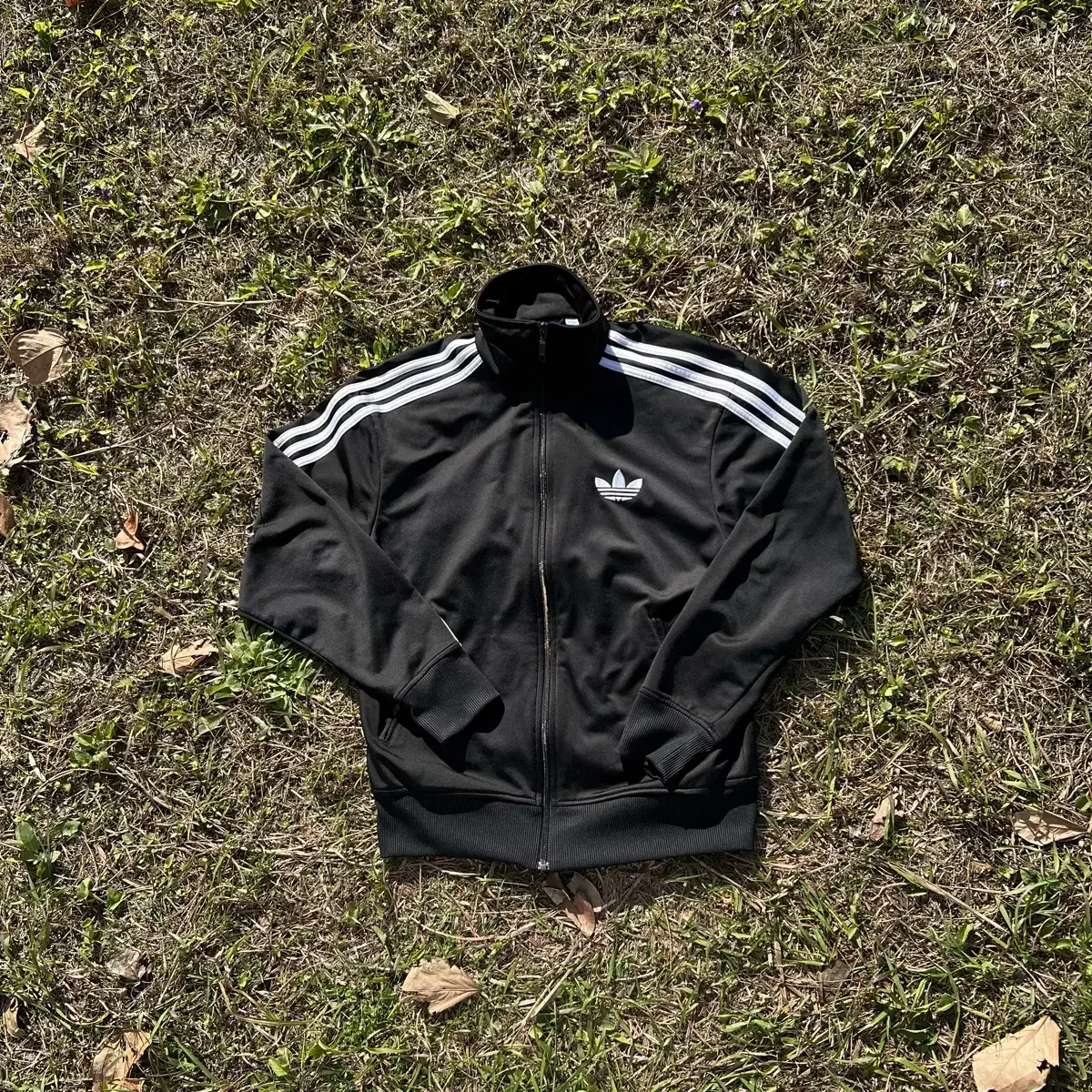 adidas Basic Black Firebird(95)