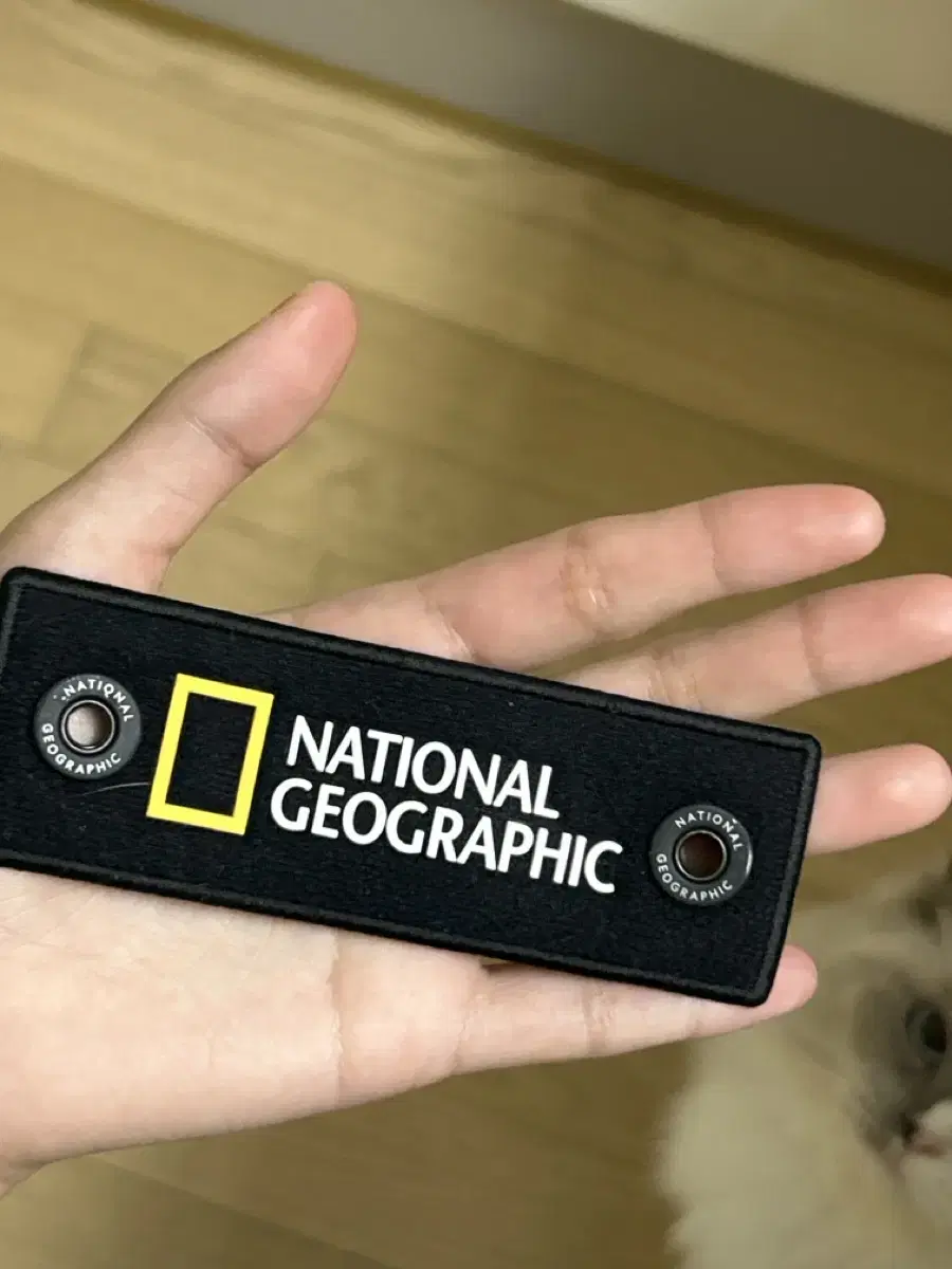 National Geographic Wappen