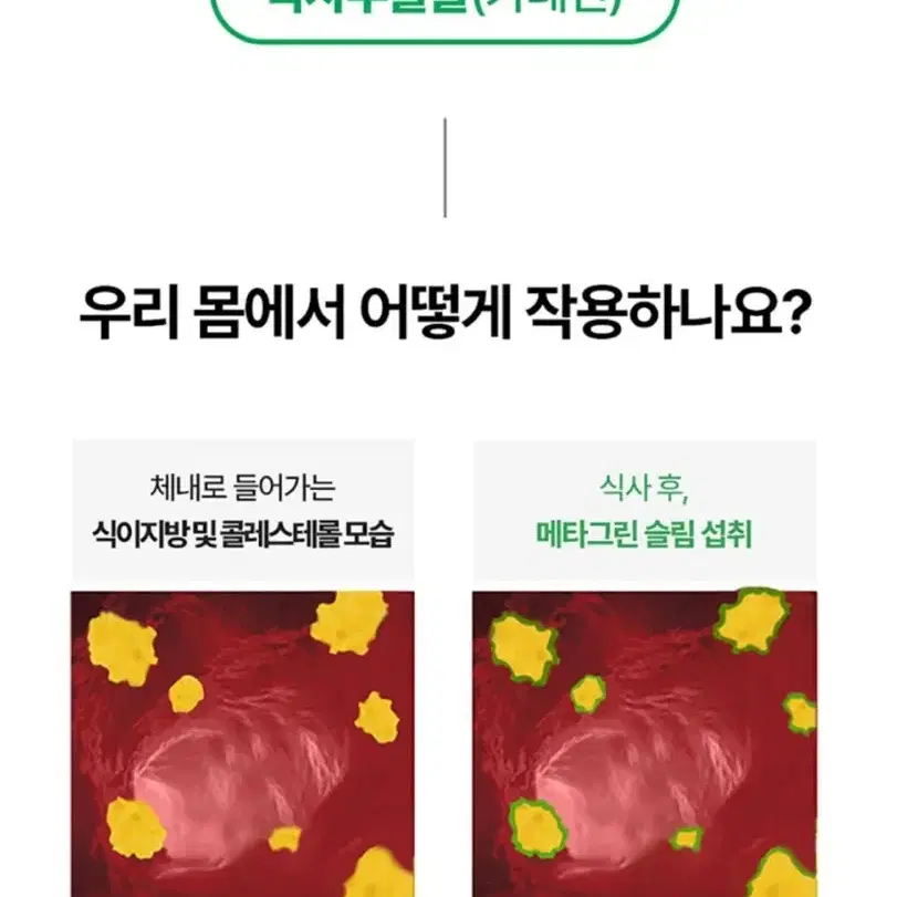 새상품) 메타그린 슬림업 25일분