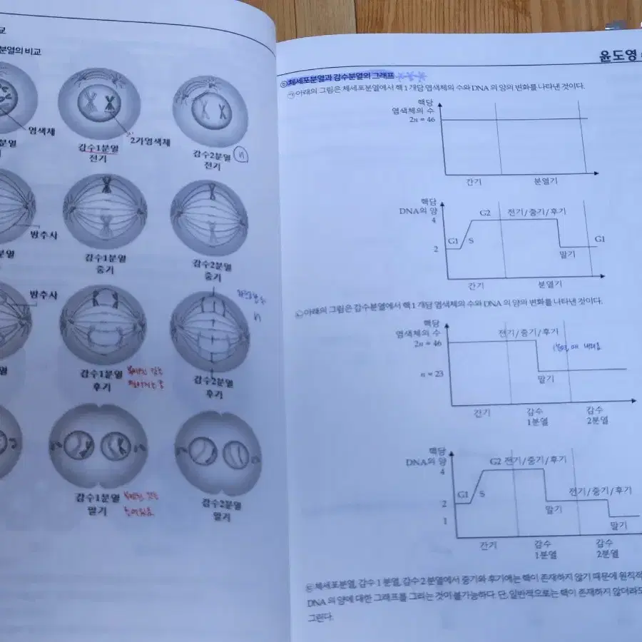 [4권 일괄] 윤도영t 생명과학 2024학년도 퍼펙트비기닝 고2 내신