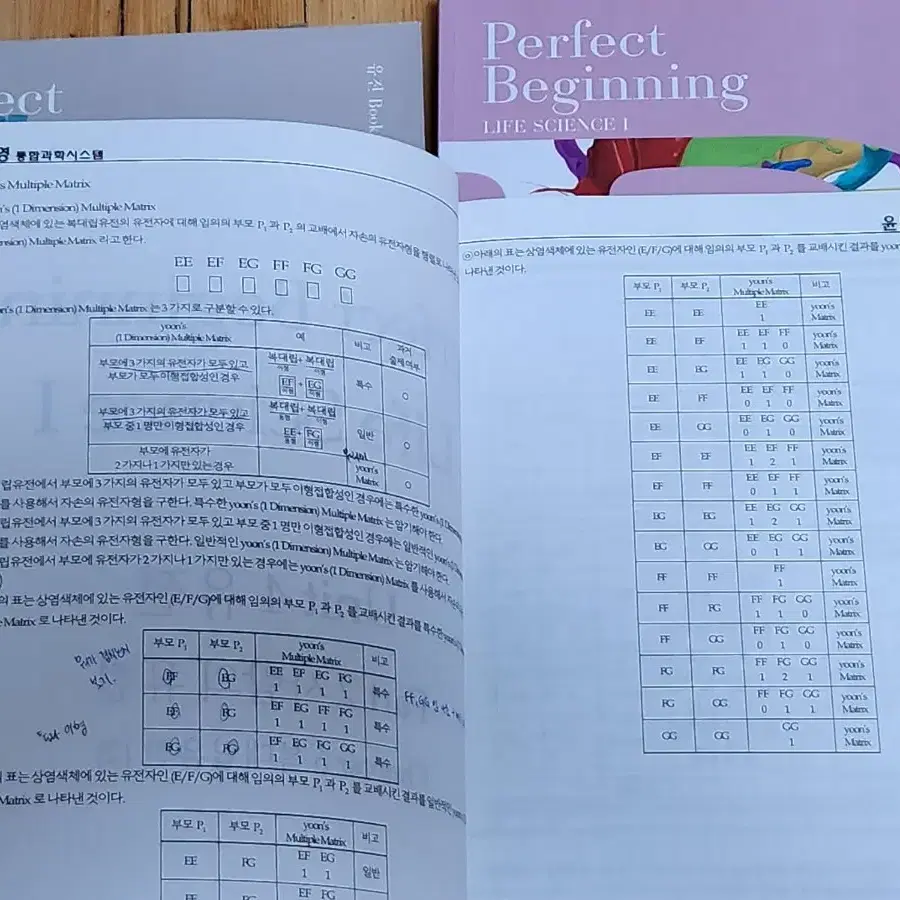 [4권 일괄] 윤도영t 생명과학 2024학년도 퍼펙트비기닝 고2 내신