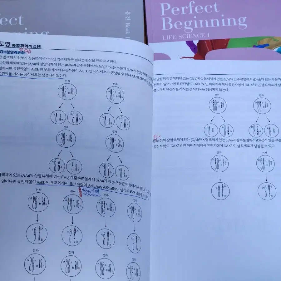 [4권 일괄] 윤도영t 생명과학 2024학년도 퍼펙트비기닝 고2 내신