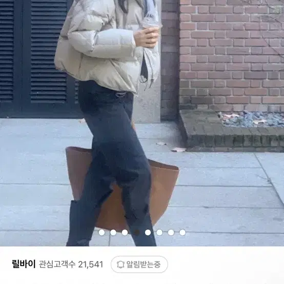 버베인 캐롤 숏 패딩 (브라운)