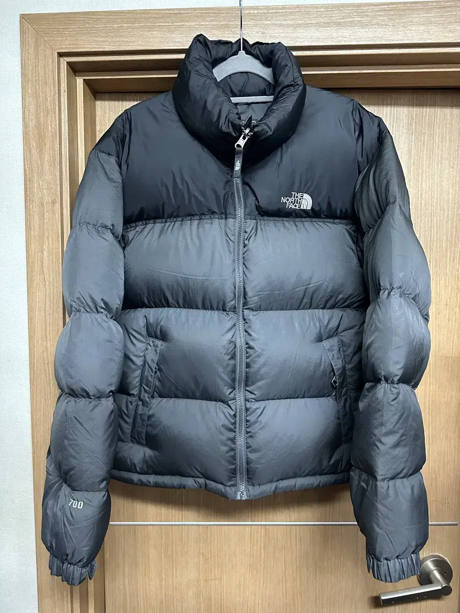 The North Face 700 Nupsy Gray Matte Overseas S