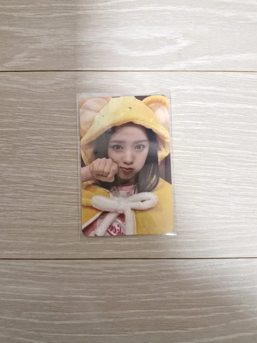 Eunice Elysia Keroblanket photocard Quick sale (below, shop introduction required)