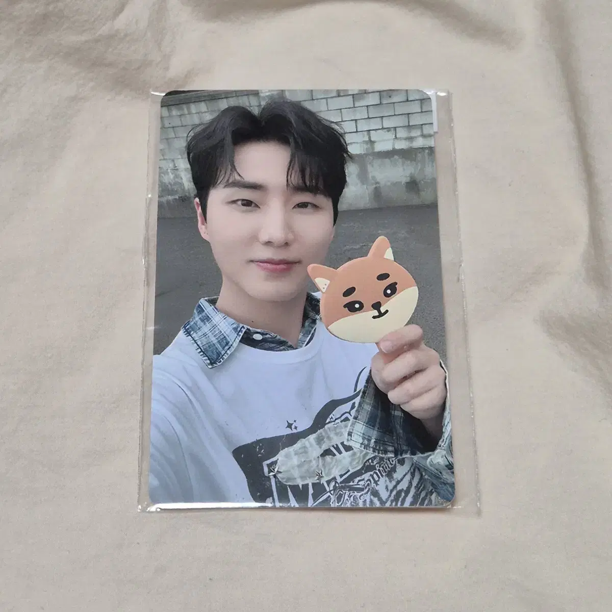 Denimals X Roundup pre-order benefit YoungK photocard KE KE