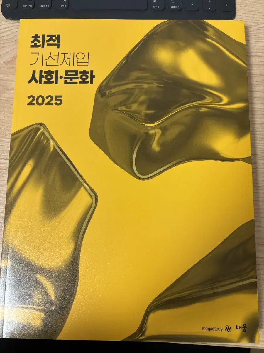 2025 사회문화 n제 최적 기선제압