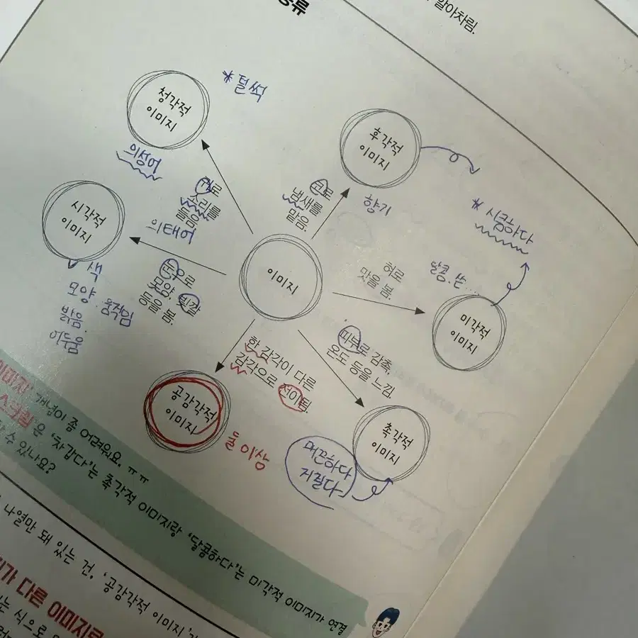 윤혜정 나비 효과