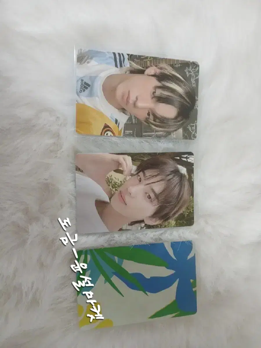 bulk) TWS album photocard