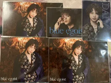 blueegoist 블루 에고이스트 크리카 브로마이드 고토 다이 세트