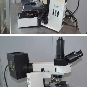 Olympus BX40 Fluorescence Microscope