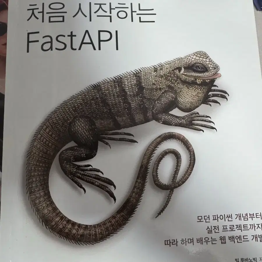 처음 시작하는 FastAPI