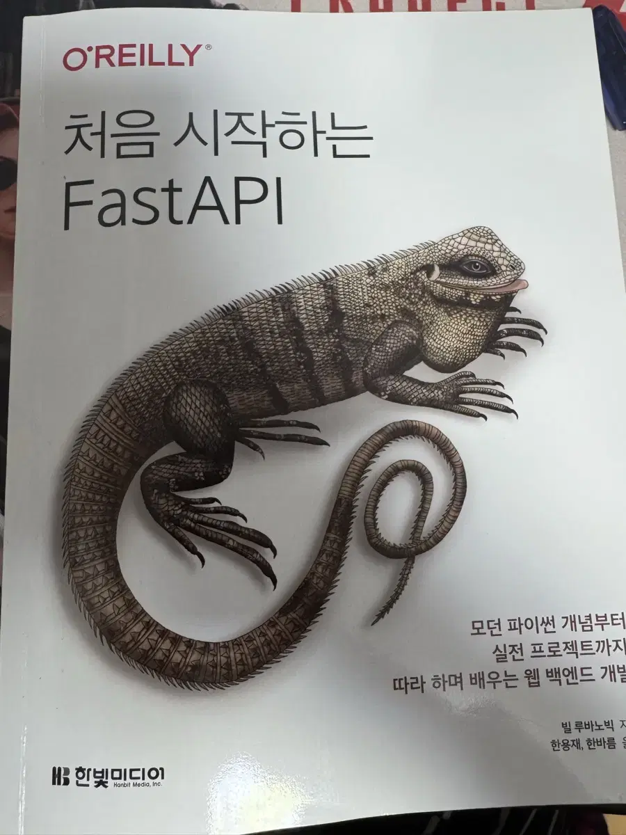 처음 시작하는 FastAPI