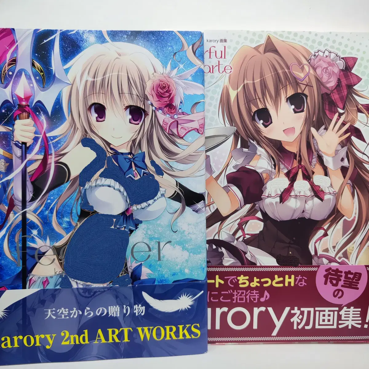 2 KARORY CARRY artbooks bulk #artbook picture book figure ranobel miyeon