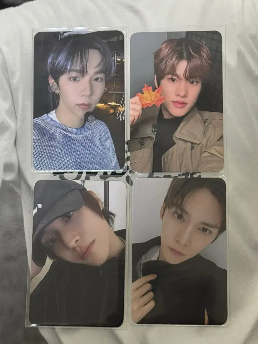 Liz Wonbin,Sohee,Shotaro,Eunseok everline unreleased photocard Quick sale!