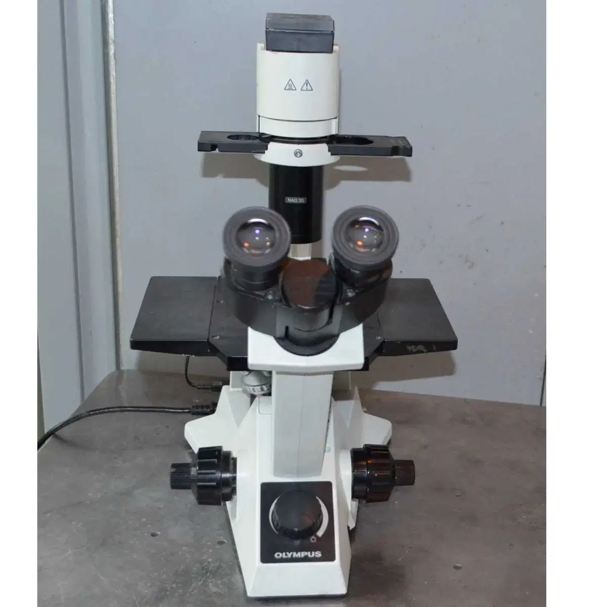 도립현미경 Olympus CKX31 Inverted Microscope