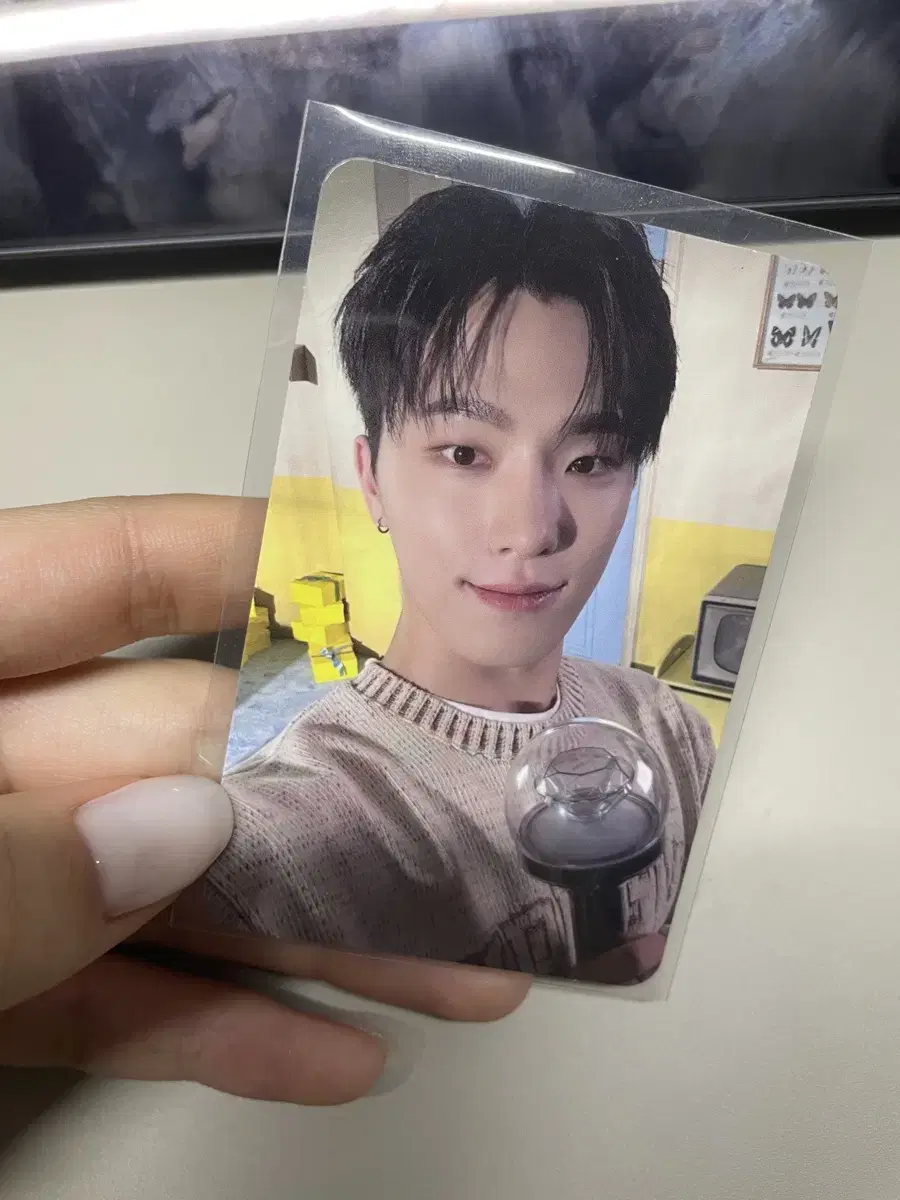 2024 Caratland dino carrot zone Photocard