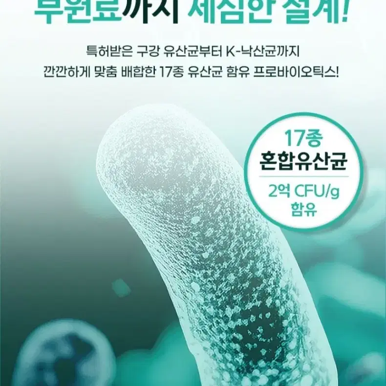 구강유산균, 비염유산균