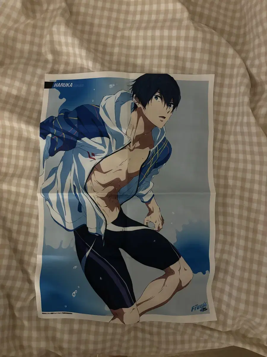 Free! High Speed Haruka Nanase Fabric Poster