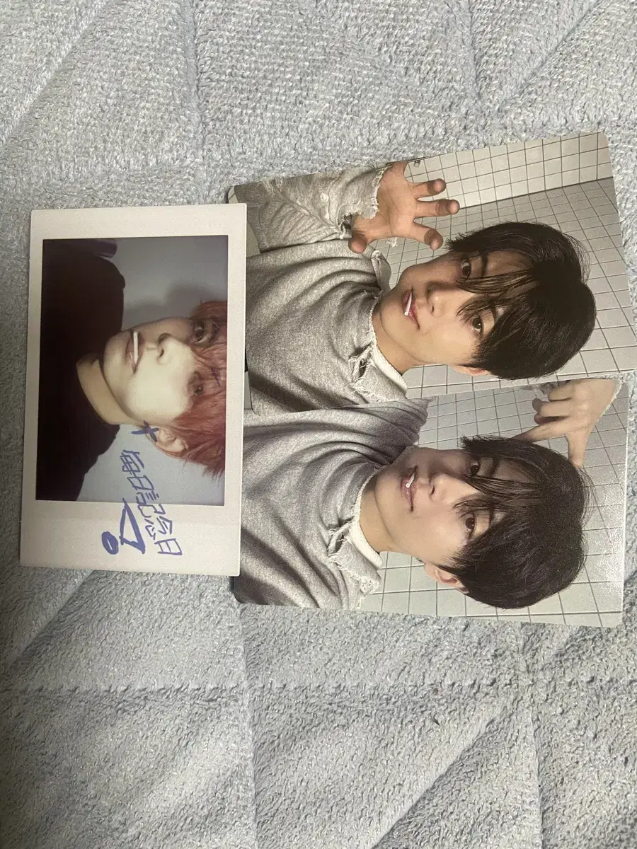 Enhypen longitudinal photocard