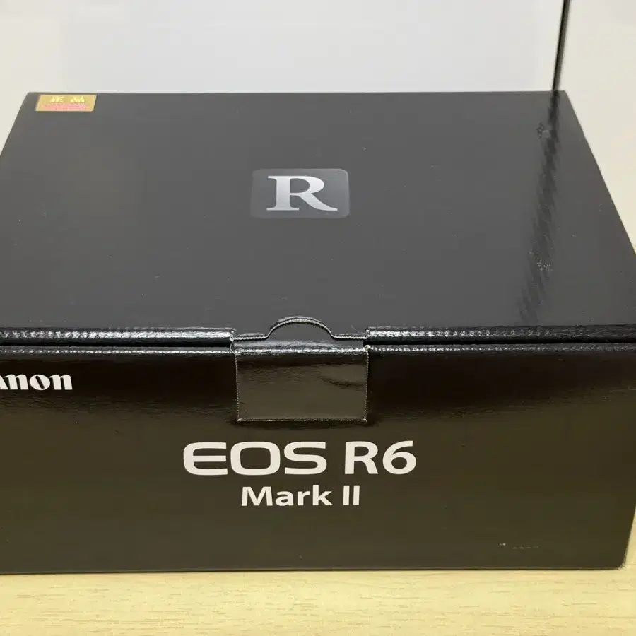 캐논 미러리스카메라 R6 mark2