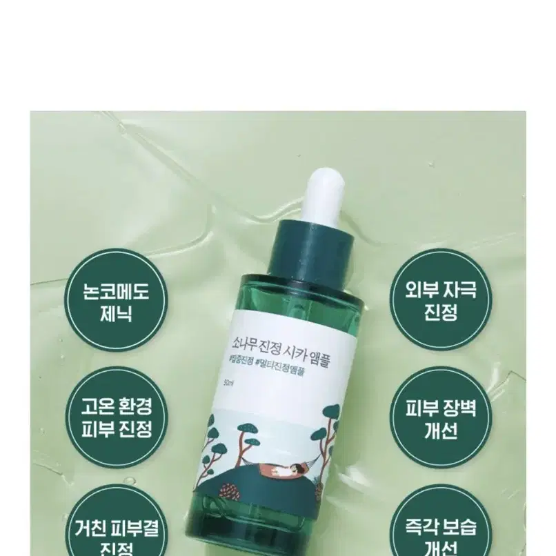 라운드랩 소나무 진정 시카 앰플 50ml