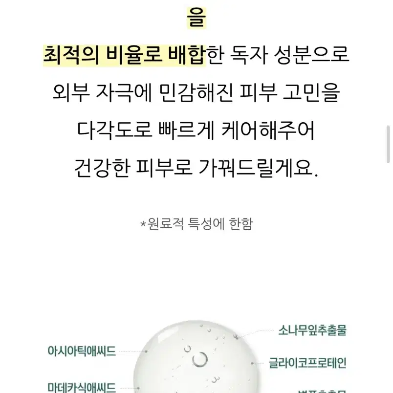 라운드랩 소나무 진정 시카 앰플 50ml