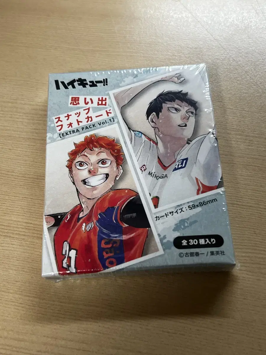 Haikyuu 10th Anniversary Chronicle Memories Snap Photo Card