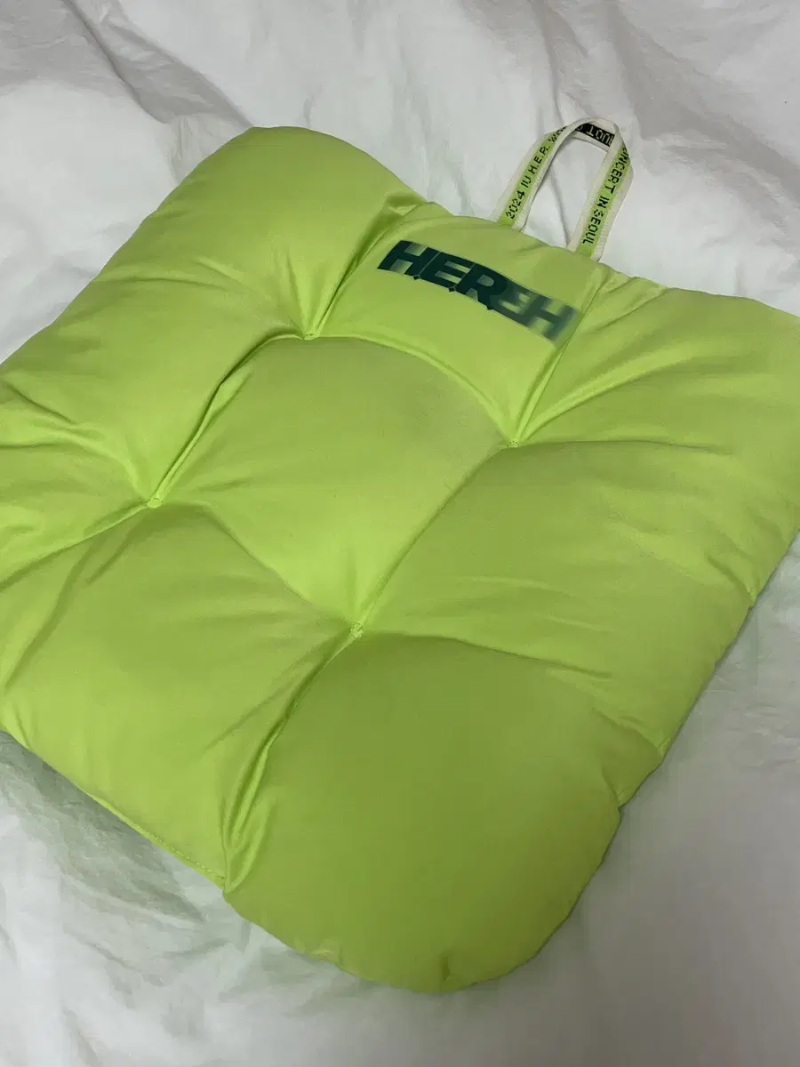 iu HER concert cushion