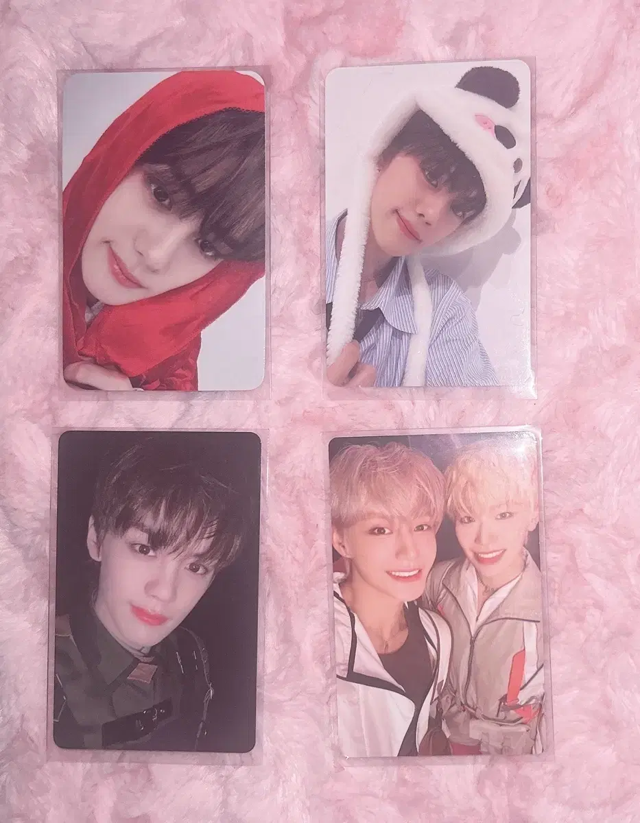 ZB1 photocard in bulk