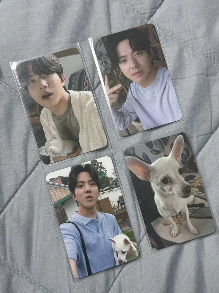 Day 6 helped me with limited album photocard