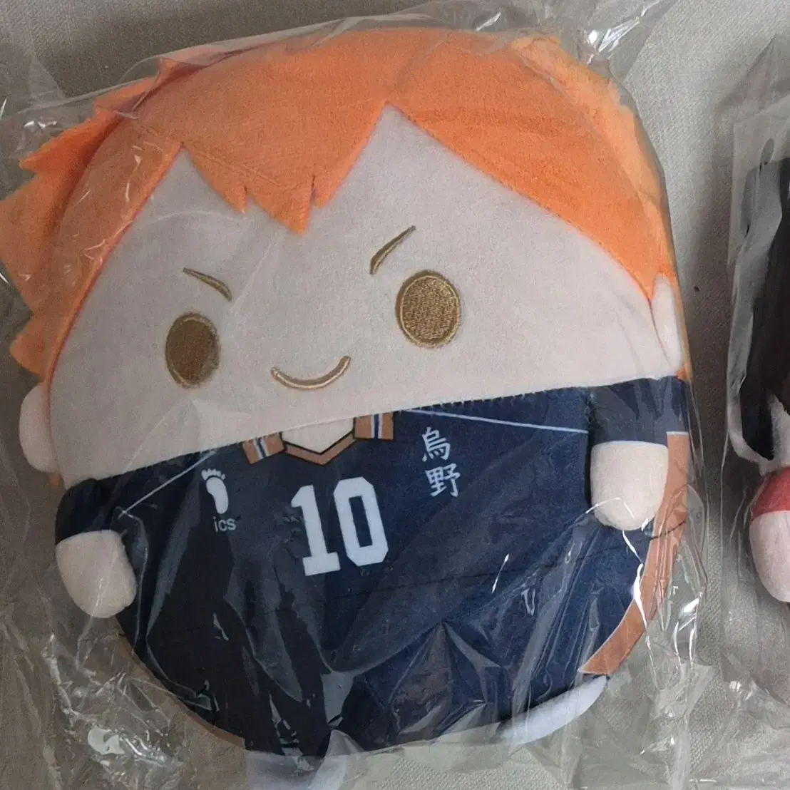 Haikyuu hinata Gyokubok Fuwakororing doll M