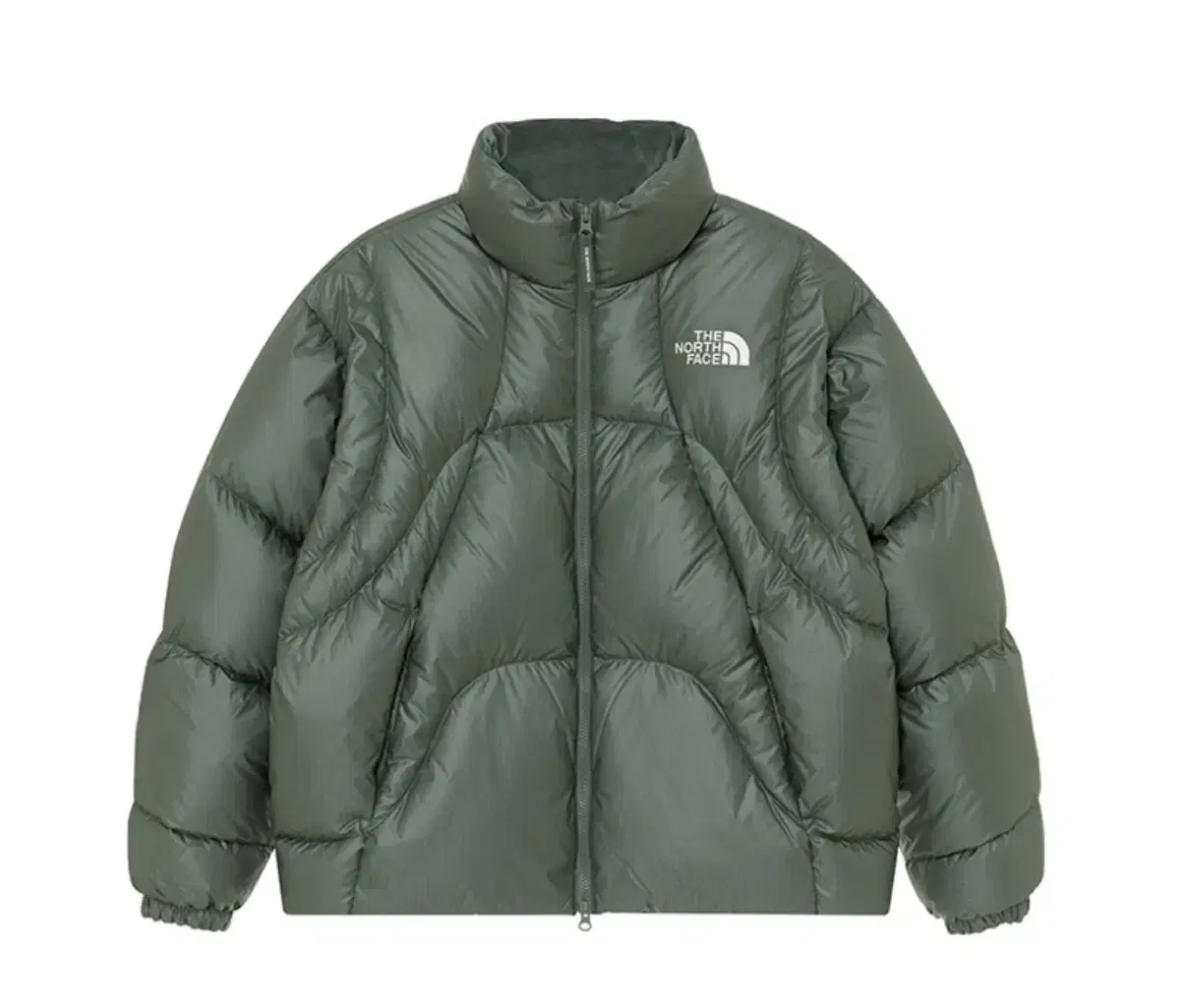 The North Face White Belly Public Wave RDS Down Jacket NJ1DQ55K