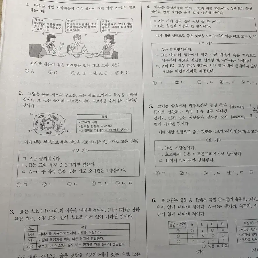 2025 생2 서바, n서바, 브릿지, 리부트 브릿지, 리바이벌, 주간지