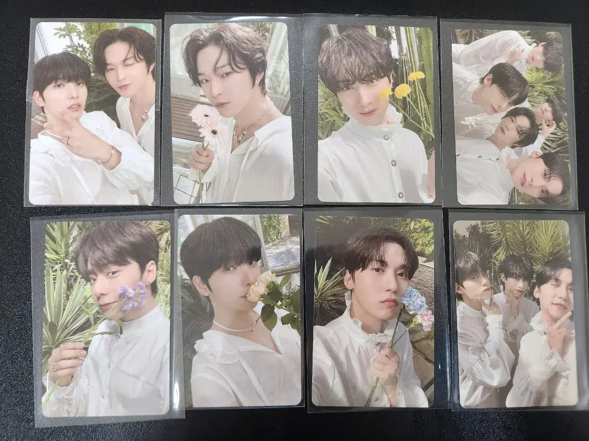 2023 oneus seasons greetings photocard Bulk