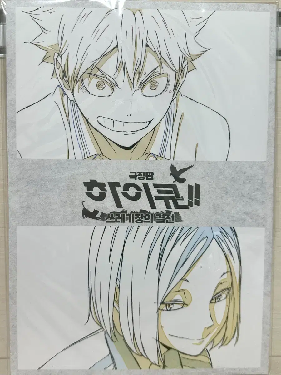 Haikyuu Theatrical Version Dumpster Diving Memorial Book