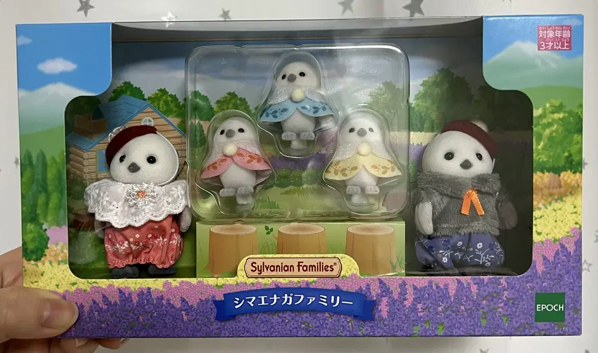 Sylvanian concave-eyed bunting family