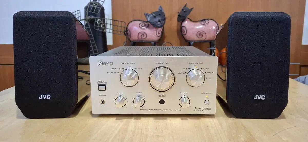 ANAM AA-40&JVC SP-UXEP100