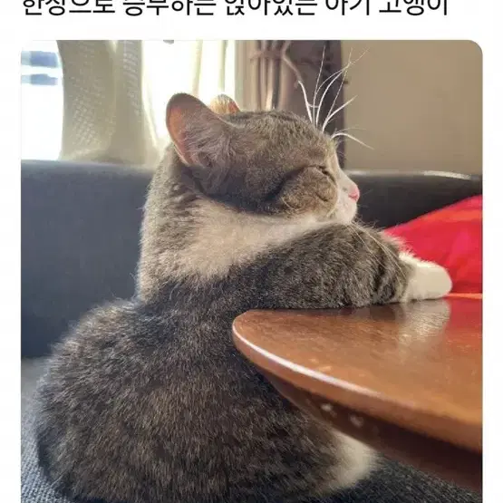 롯데시네마 4월이되면그녀는 대리예매 1인