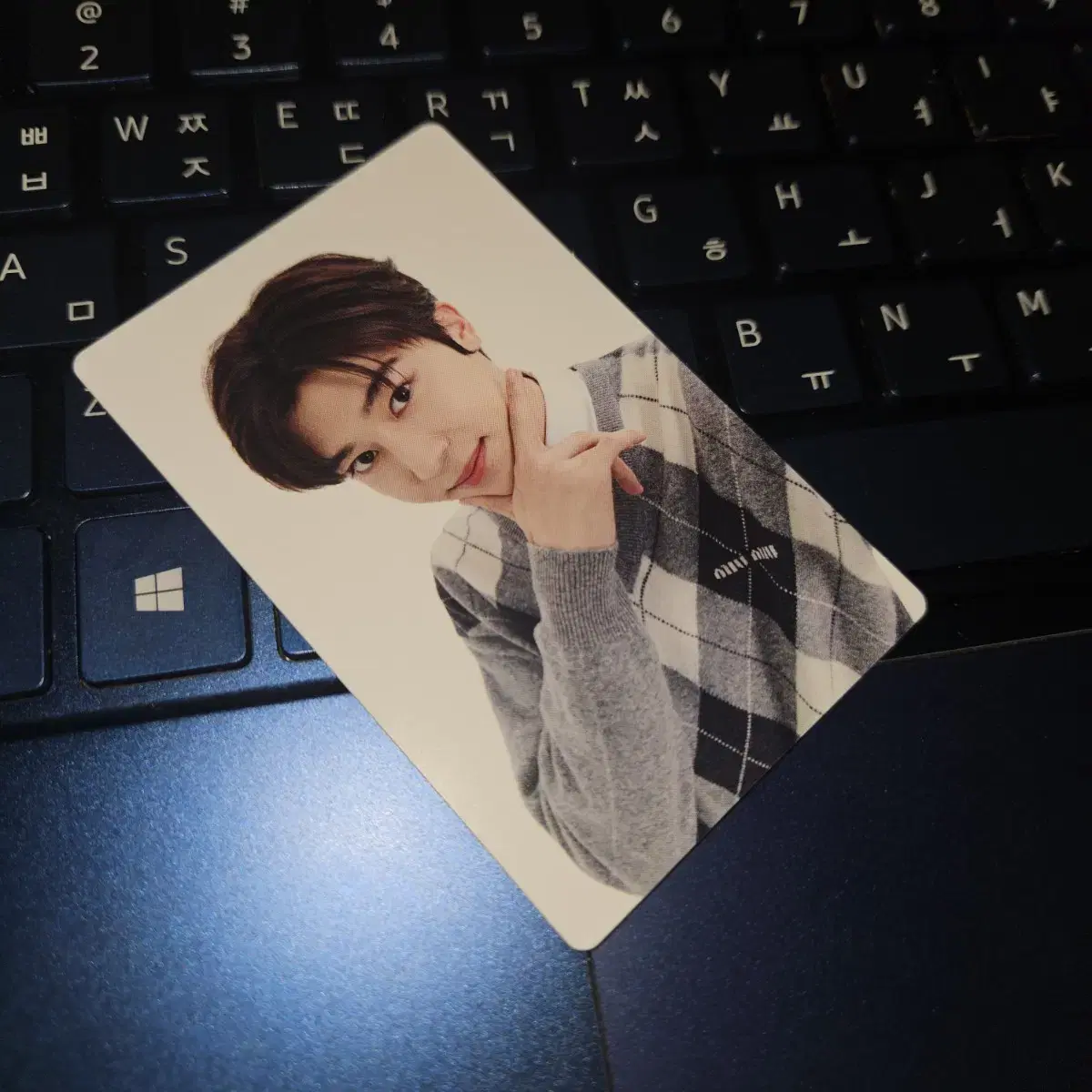 nct wish nct wish sion rastat tour trading kard photocard