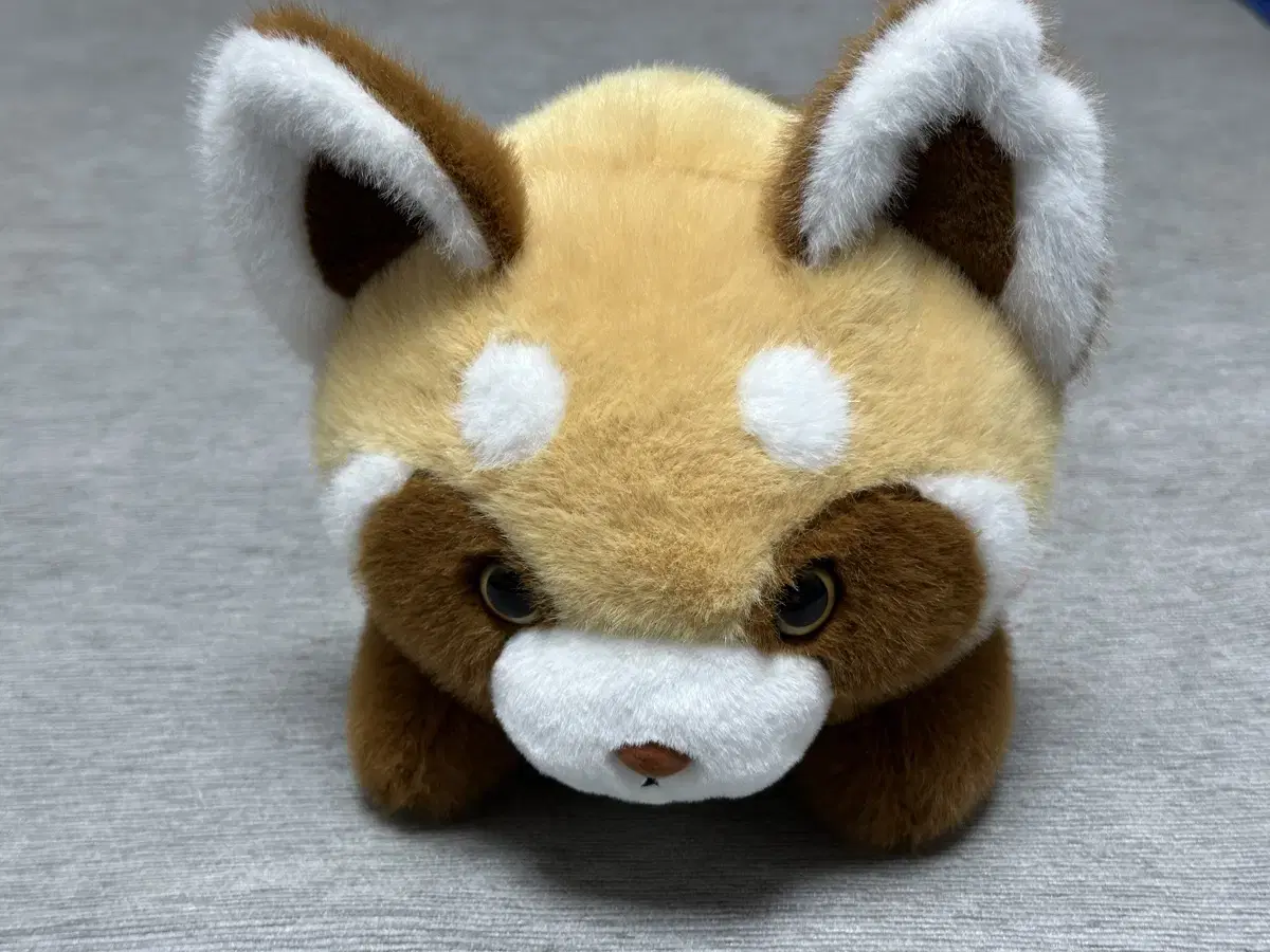 (새상품)랫서판다 25cm 인형 래서판다 키즈 라잉ver