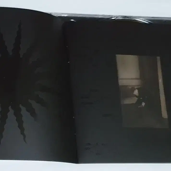 데이비드 보위 Blackstar 앨범 시디 CD