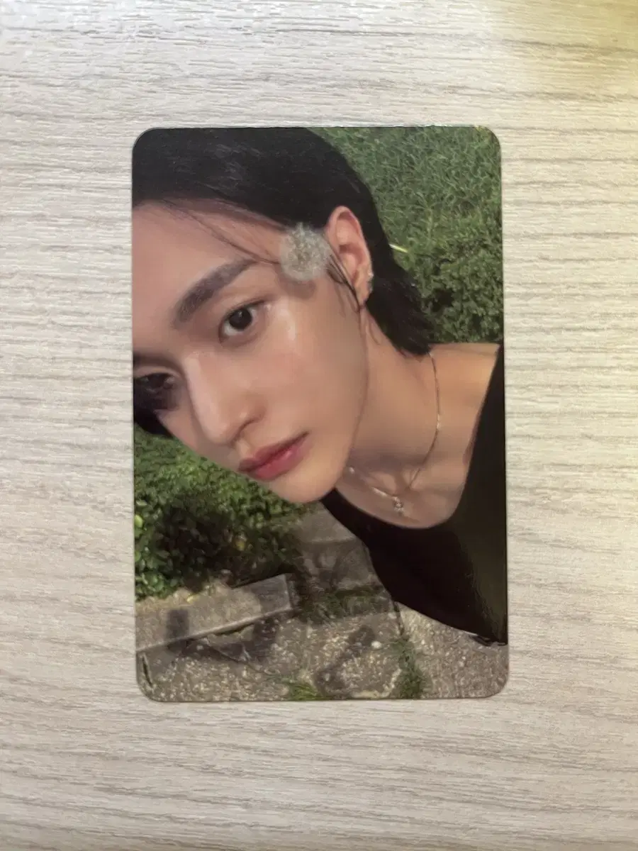 Rize wonbin dandelion combo photocard