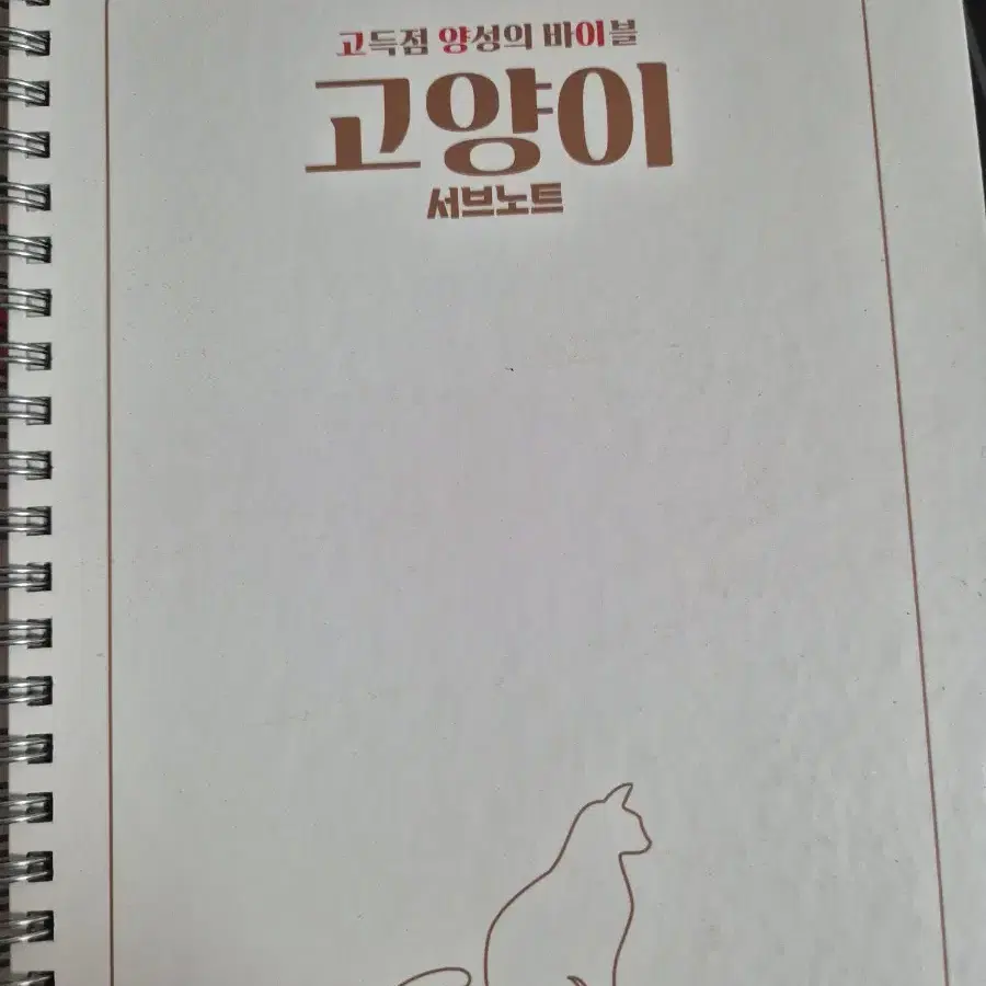 박선우 고양이 서브노트