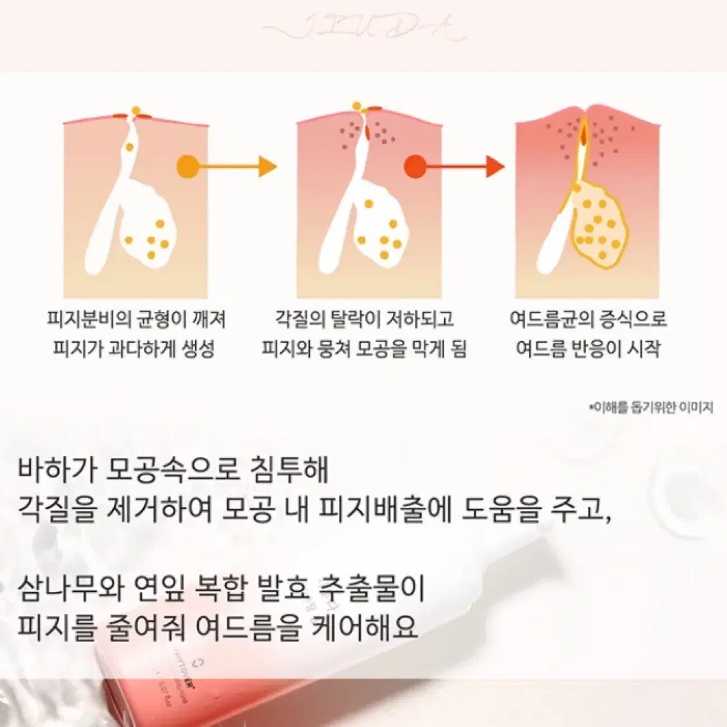 피토버 지우다 클렌징폼