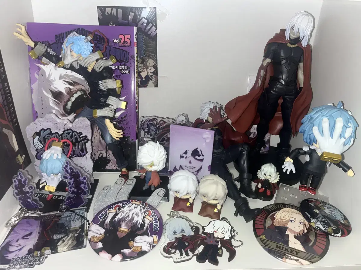 Nahia Shigaraki Tomura Goods Disposal