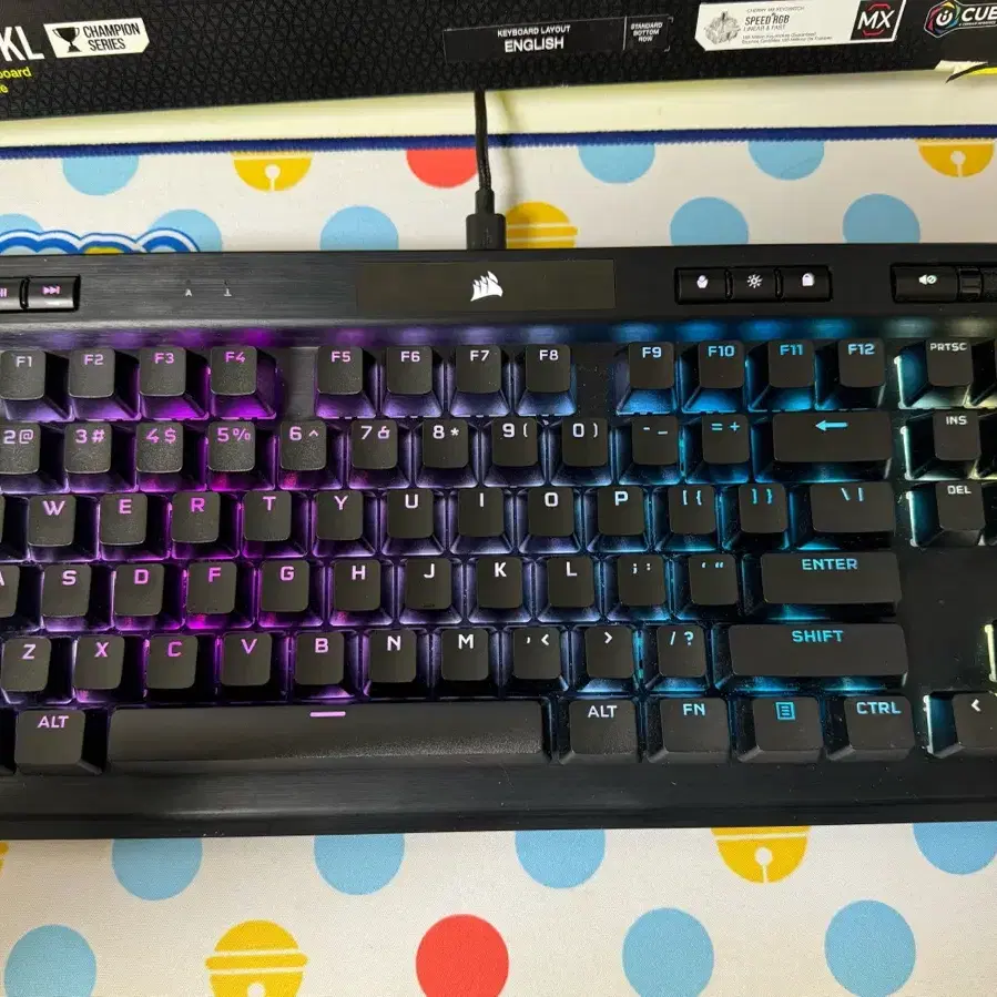 커세어 K70 RGB TKL 은축