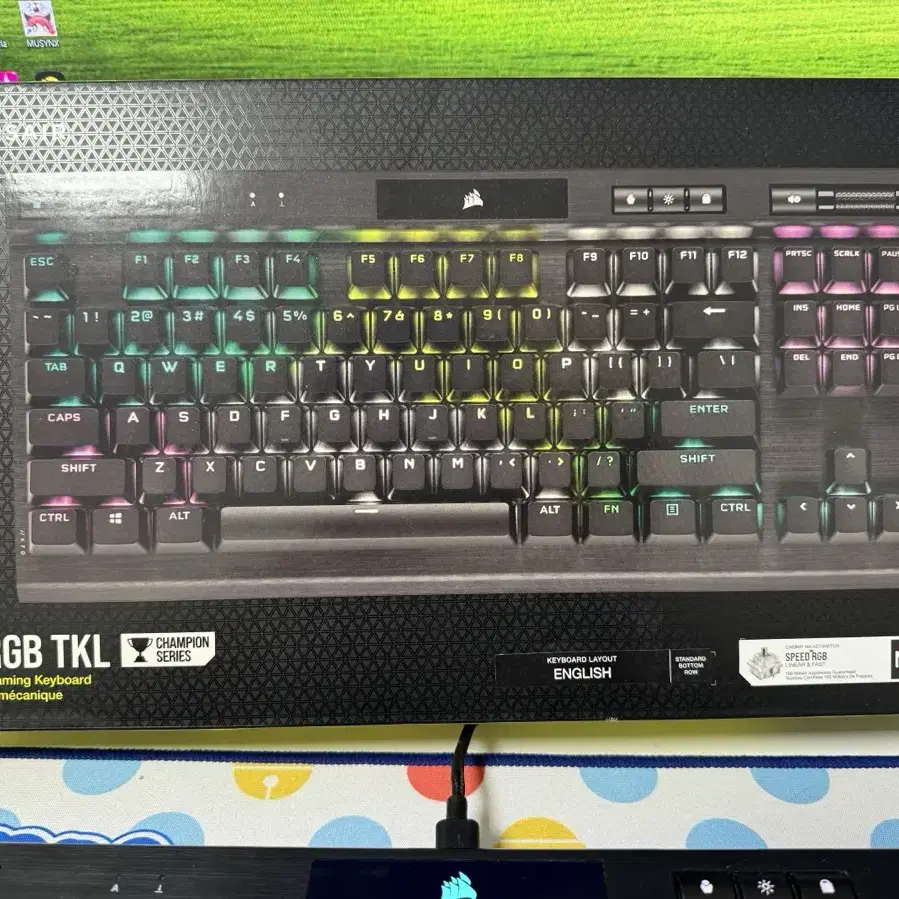 커세어 K70 RGB TKL 은축