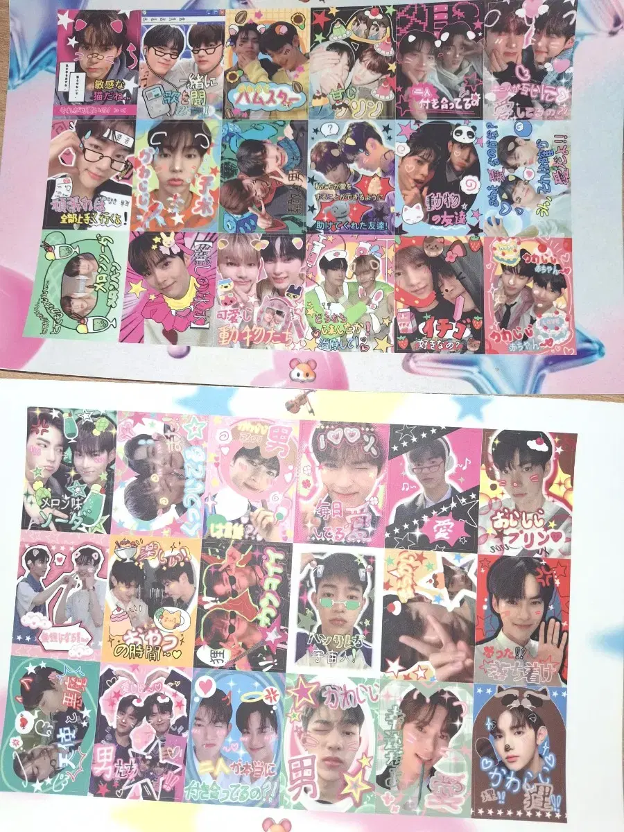 (Half-priced Delivery) zb1 zhang hao sung hanbin Purikura